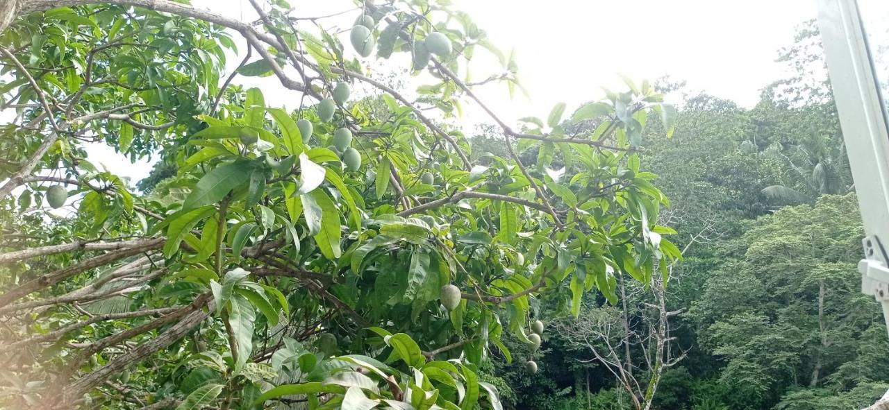 Dev House Apartment Unawatuna Bagian luar foto
